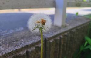 旅立ちに備えて - 林田きよし