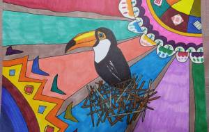 オオハシの穏やかな目 - 【イベント】第2期 Just In Time Best Action「まごころプロジェクト」