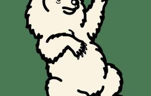 ヒマラヤツキノワグマ(白変種) - シマハイエナ