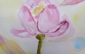 「pg.」 - サオリ