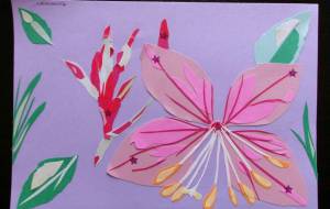 ガウラ桃脈 - 明紅葉