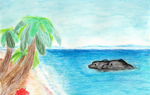 島のイルカとカニ - 柴田 和子