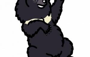 ヒマラヤツキノワグマ - シマハイエナ