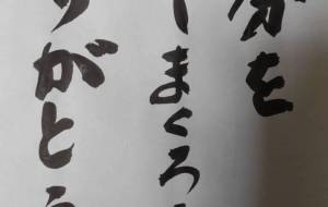 ありがとう - こうつぁん