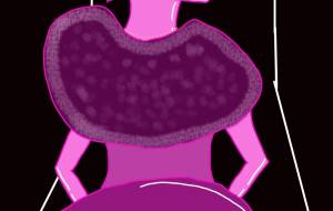 自由なひと - 宇佐山彩葉