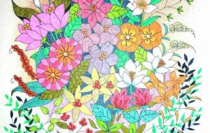 草花図鑑② - Shino-B(シノビー)