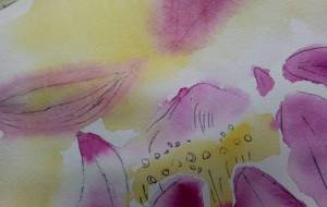 「黄金の夕暮れに」 - サオリ