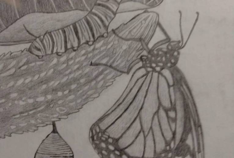 蝶 - 伊藤恵美里 