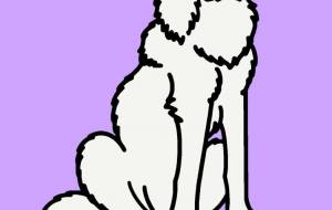 ニホンオオカミ(絶滅) - シマハイエナ