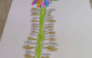 どんな病気でも直る花 - ユナルナ