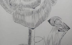 「生と死」 - サオリ