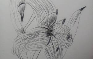 「光の灯影」 - サオリ