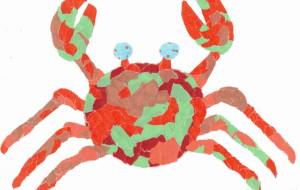 カニ - もぐちゃん