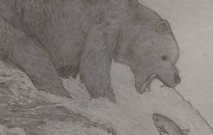 熊 - 伊藤恵美里