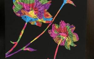 夏陽影 - 明紅葉