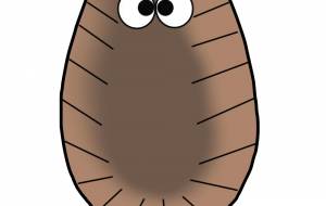 たわし君 - アクター