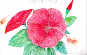 赤いハイビスカス - 柴田 和子