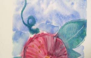 「夏の朝顔」 - サオリ