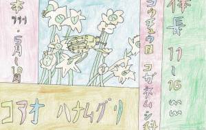 コアオハナムグリ - 虫太郎