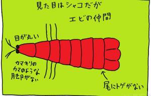 なんだこれ? - 工房はんど yu-ma