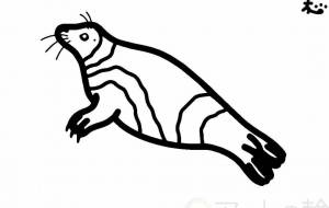 クラカケアザラシ - シマハイエナ