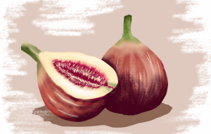 イチジク - 工房はんど 丸屋