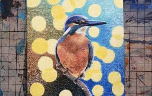 カワセミ - おもちわーくす