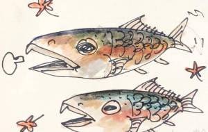 鮭夫婦 - 空叶論