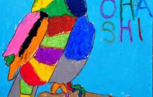 オニオオハシ - SHUNYA