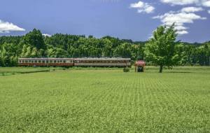 田園風景×いすみ鉄道 - Masafumi