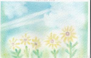 ひまわりと雲 - Hana