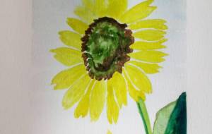 「葉月の花」 - サオリ