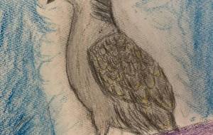 キジバトの休暇 - NEKU