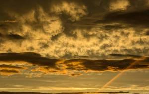 台風一過 - 宇宙くらげ