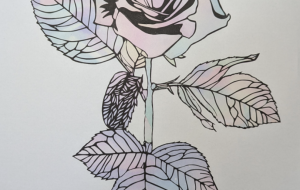 幻想の薔薇 - カワウソ