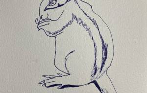 しまリス - ミズノイヨ