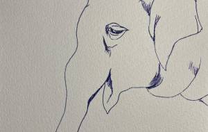 ぞう - ミズノイヨ