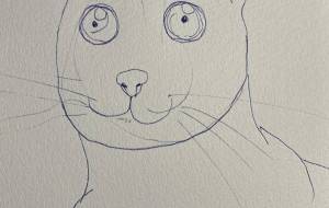 ねこ1 - ミズノイヨ