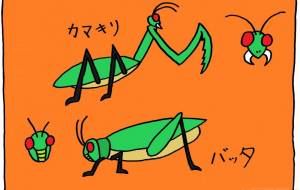 昆虫 - 工房はんど yu-ma