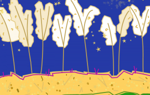 お月見2024 - さとう自動車 SAKURA