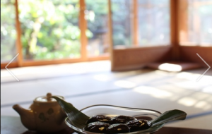 京都でひと休み - トイロ