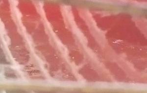 写真貧困インスタレーション家族悲愛風! - 真鍋哲地