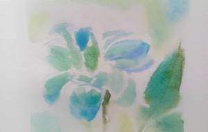 「水薔薇」 - サオリ