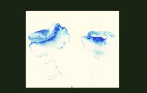 失敗作だが… 訂正 - ぴぴ