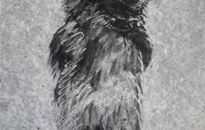 愛は悲しすぎる、出逢いと別れ、どうしてですか? - 真鍋哲地