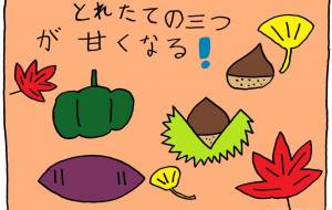 植物 - 工房はんど yu-ma