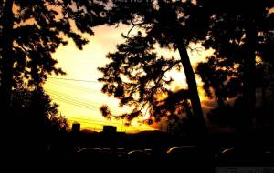 夕陽に包まれて - Sato-C