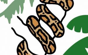 インドニシキヘビ - シマハイエナ