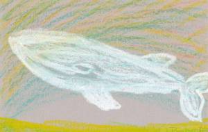 クジラ - はるとなり