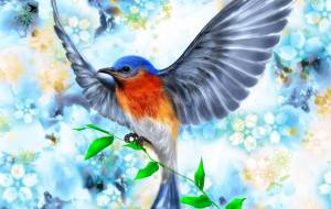 青鳥 - 落合浩太郎